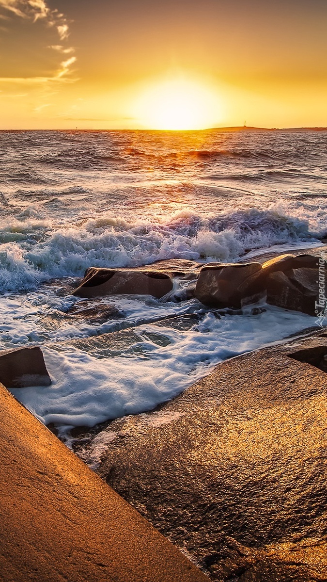 Kamienie w morzu o wschodzie słońca