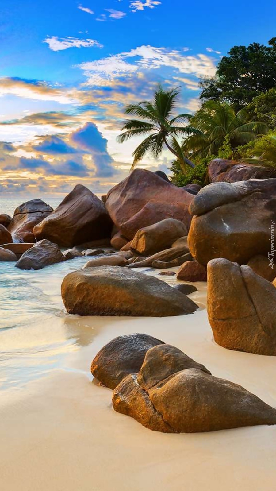 Kamienista plaża z palmami nad Oceanem Indyjskim