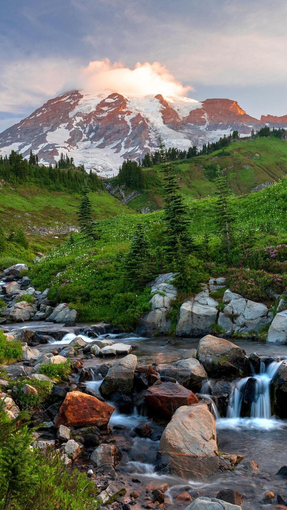 Kamienista rzeka i góry w oddali w Parku Narodowym Mount Rainier