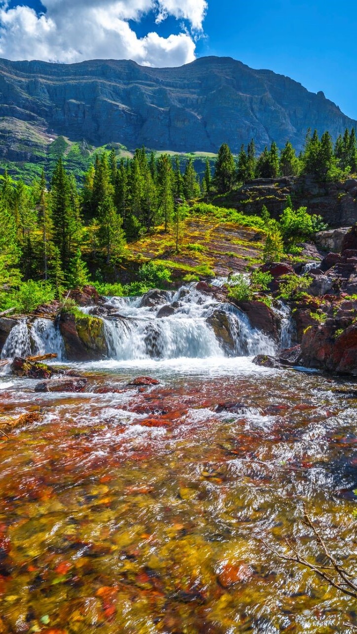 Kamienista rzeka i góry w Parku Narodowym Glacier