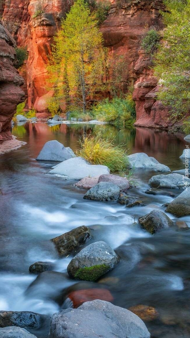 Kamienista rzeka Oak Creek w wąwozie