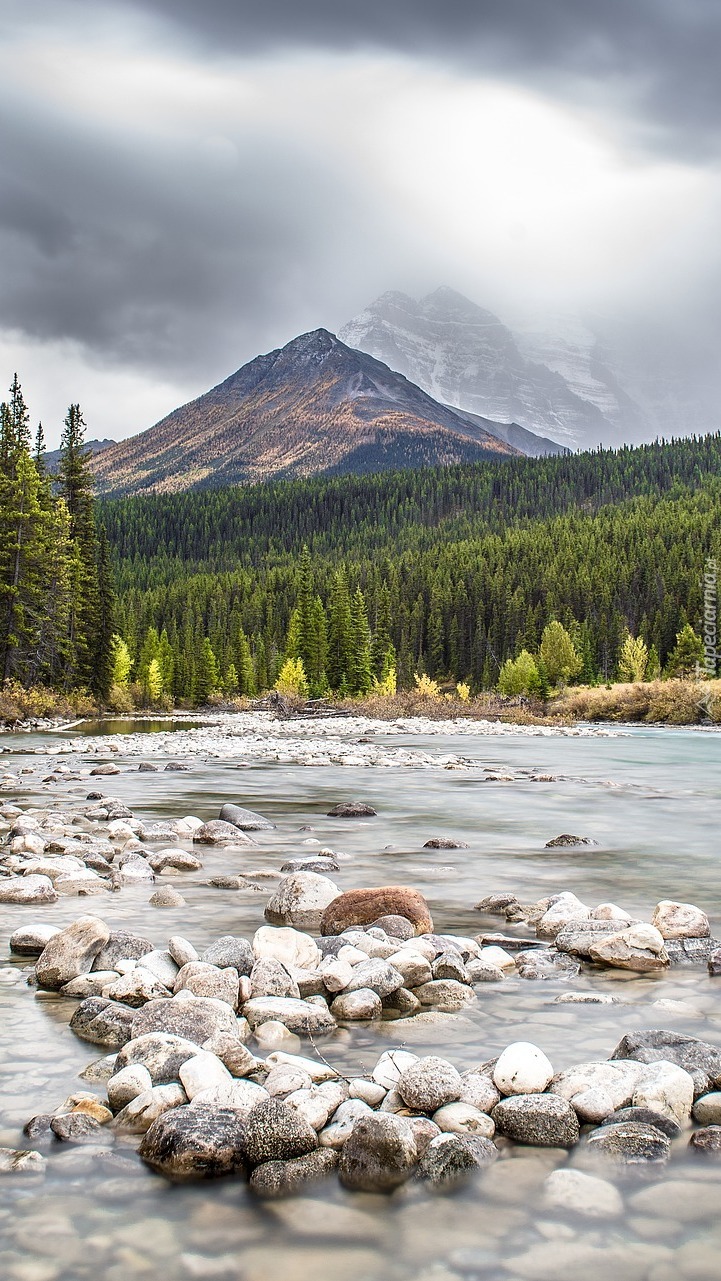 Kamienista rzeka w górach Kanady