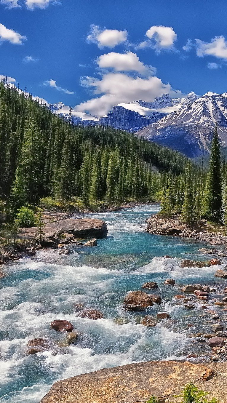Kamienista rzeka w górach