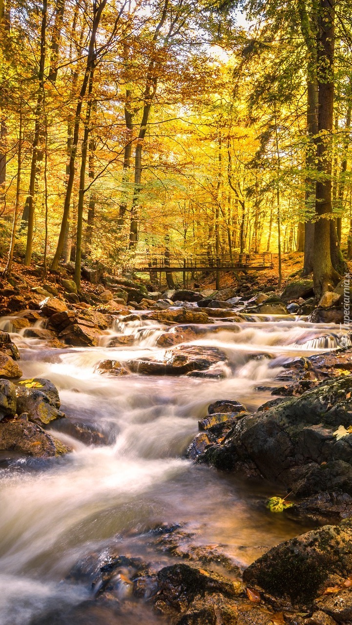 Kamienista rzeka w Saksonii-Anhalt