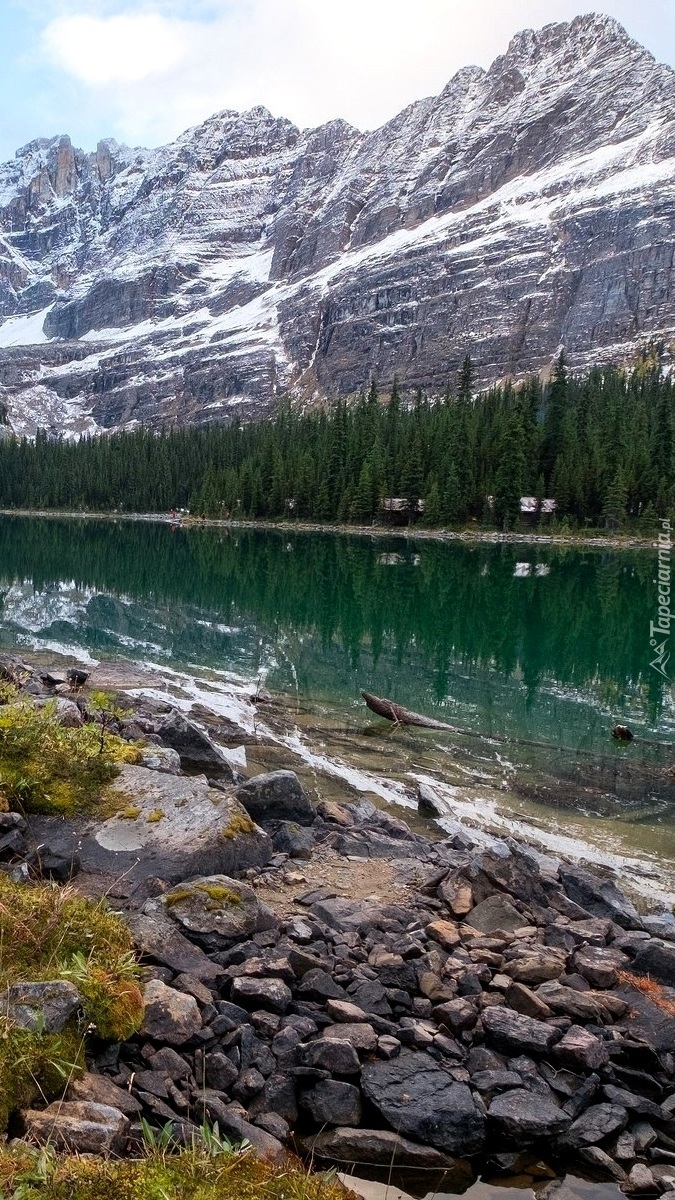 Kamienisty brzeg kanadyjskiego jeziora
