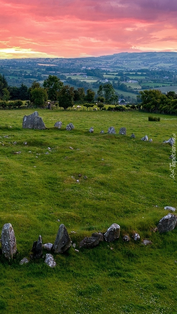 Kamienny krąg Beltany Stone Circle