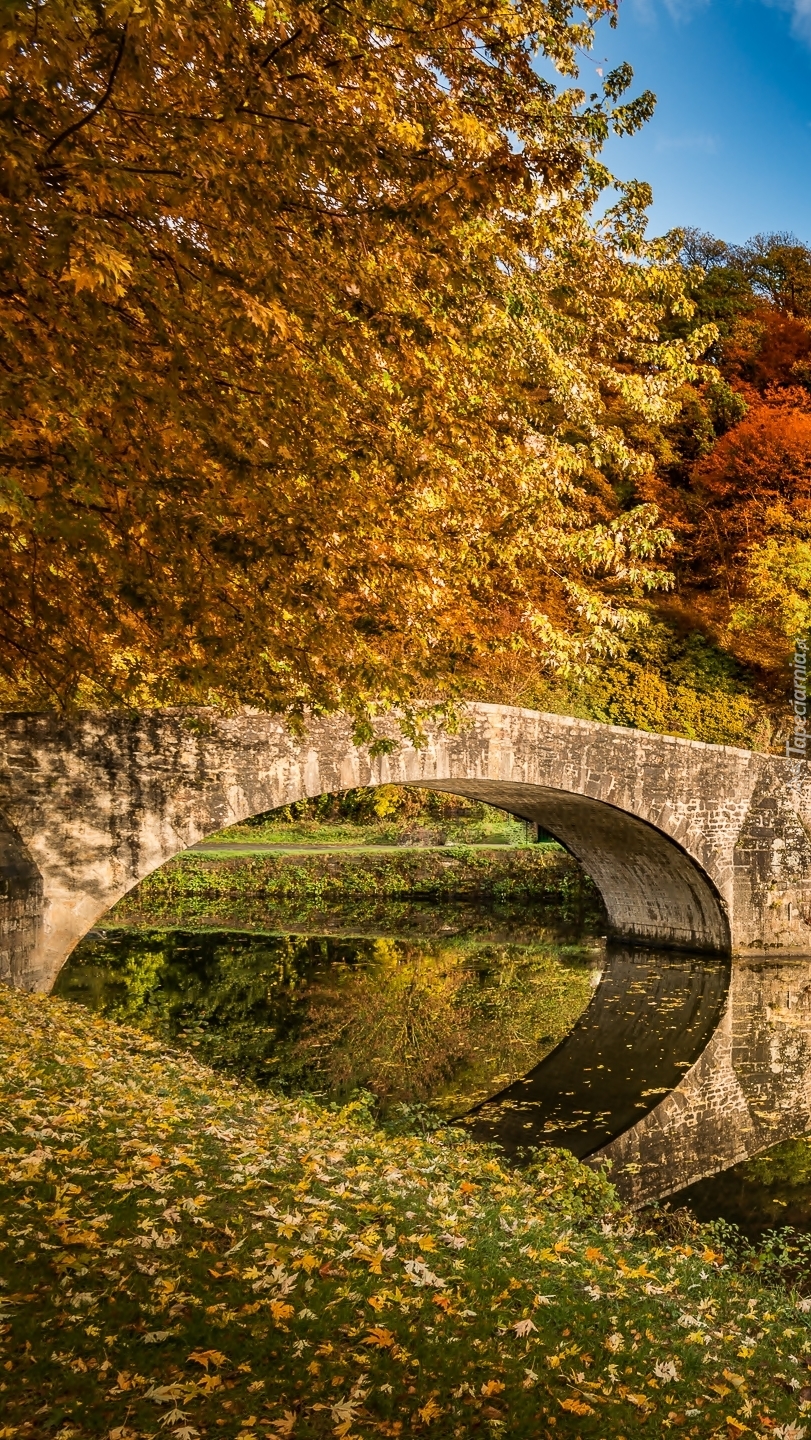 Kamienny most nad jesienną rzeką