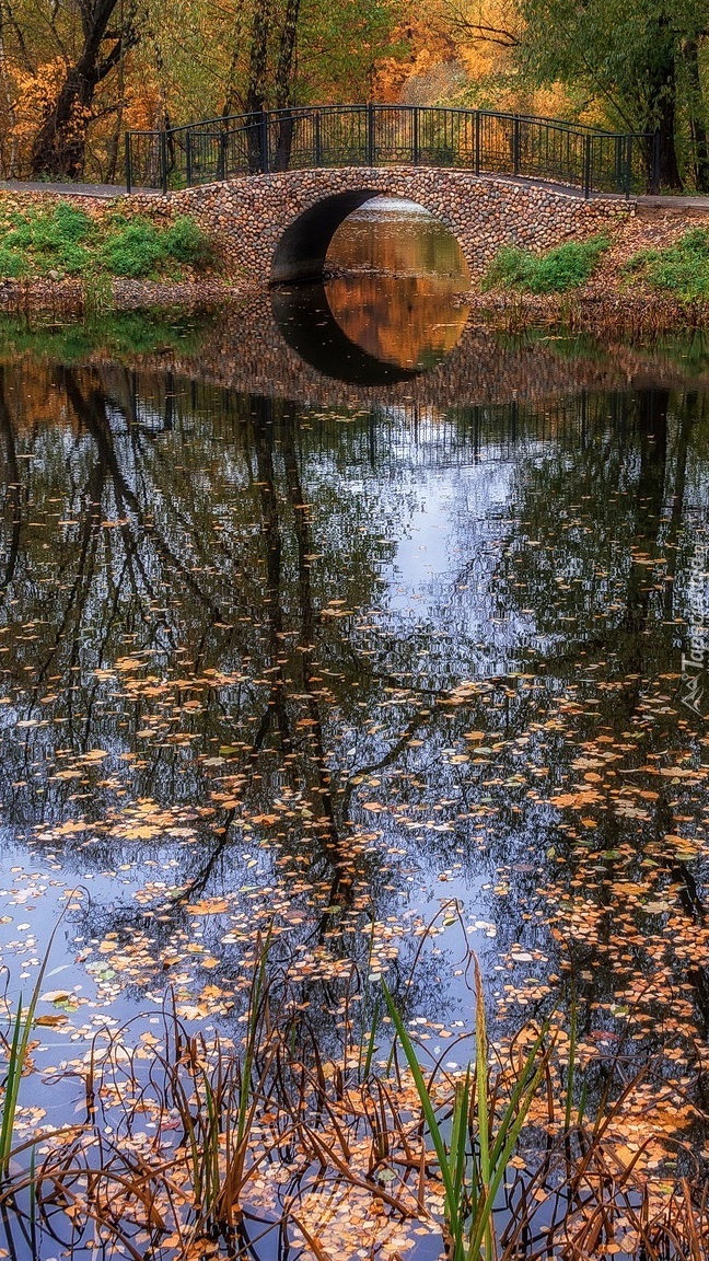 Kamienny most nad rzeką