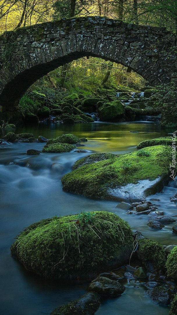 Kamienny most nad rzeką