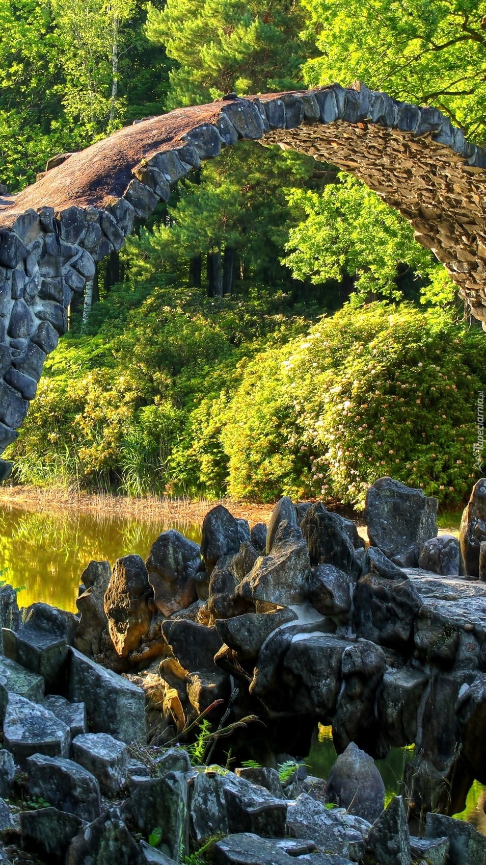 Kamienny most nad rzeką w lesie