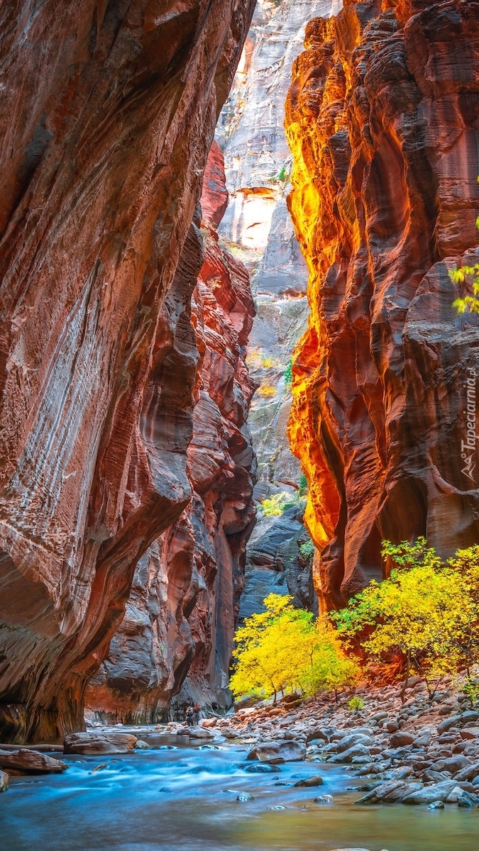 Kanion i rzeka Virgin River