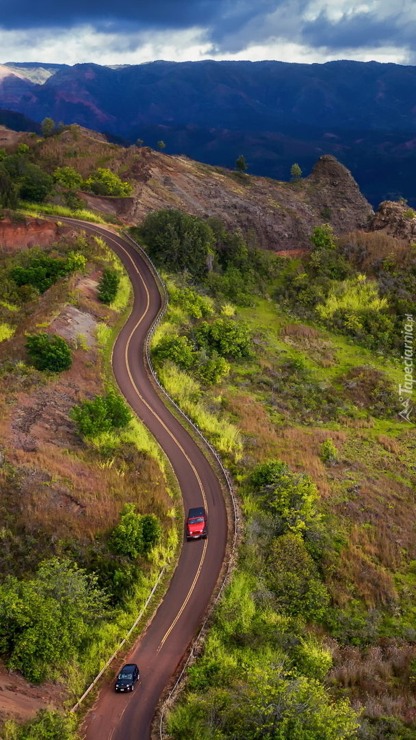 Kanion Waimea na Hawajach