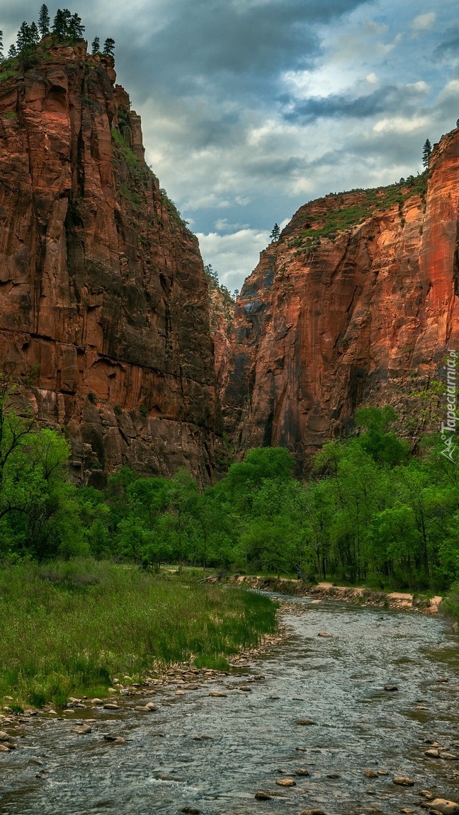 Kanion Zion Narrows