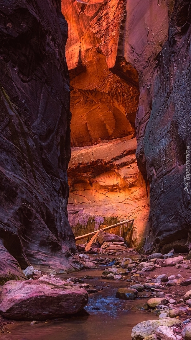 Kanion Zion Narrows