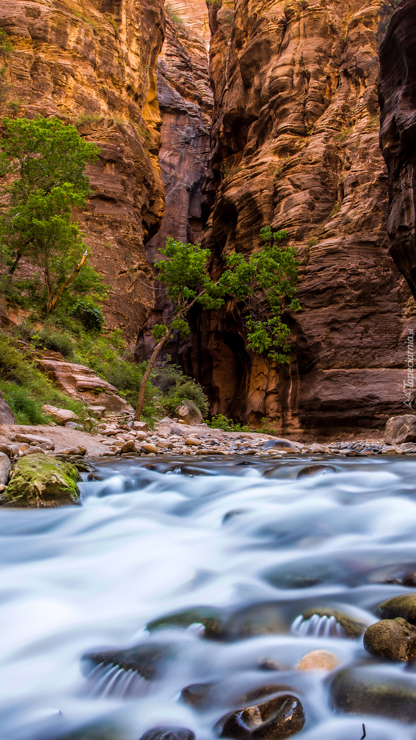 Kanion Zion Narrows nad rzeką Virgin River