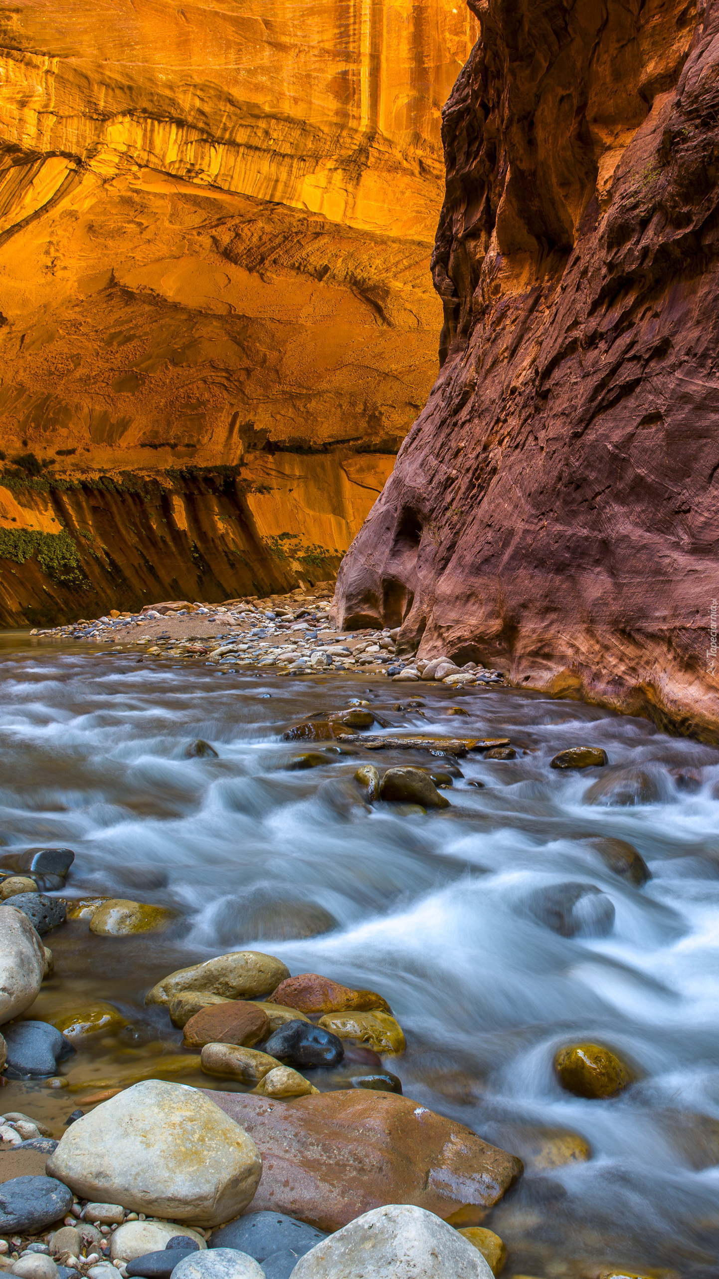 Kanion Zion Narrows