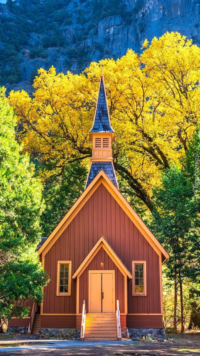 Kaplica wśród drzew w Parku Narodowym Yosemite