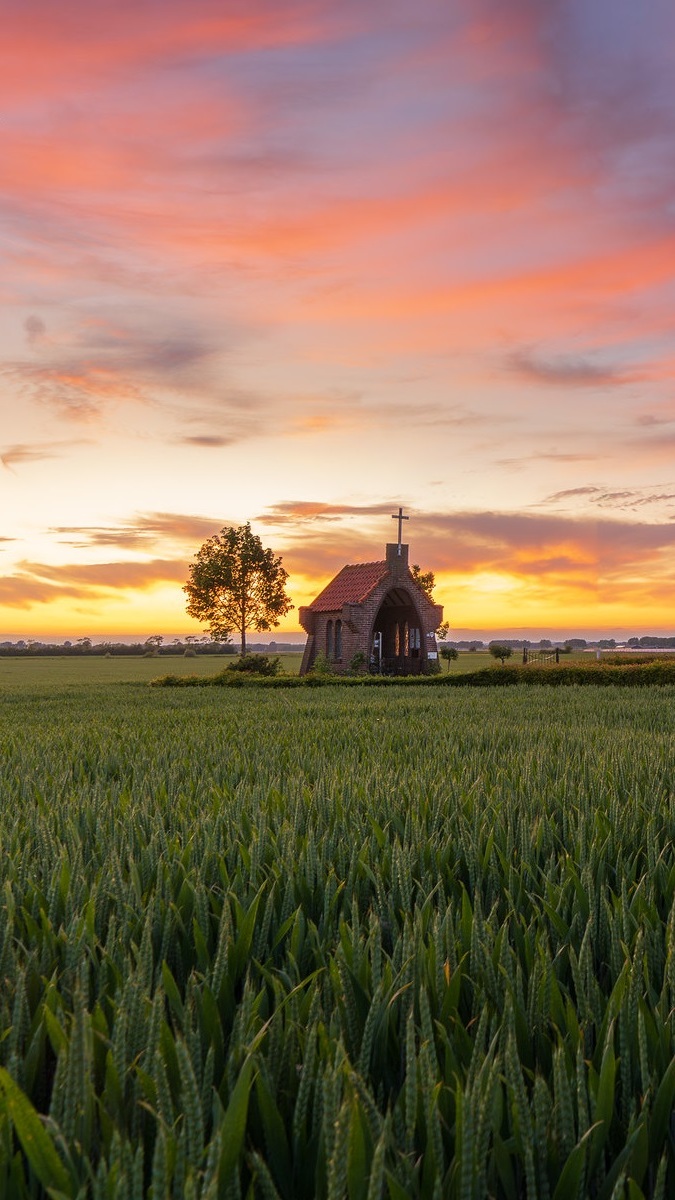 Kapliczka na polu