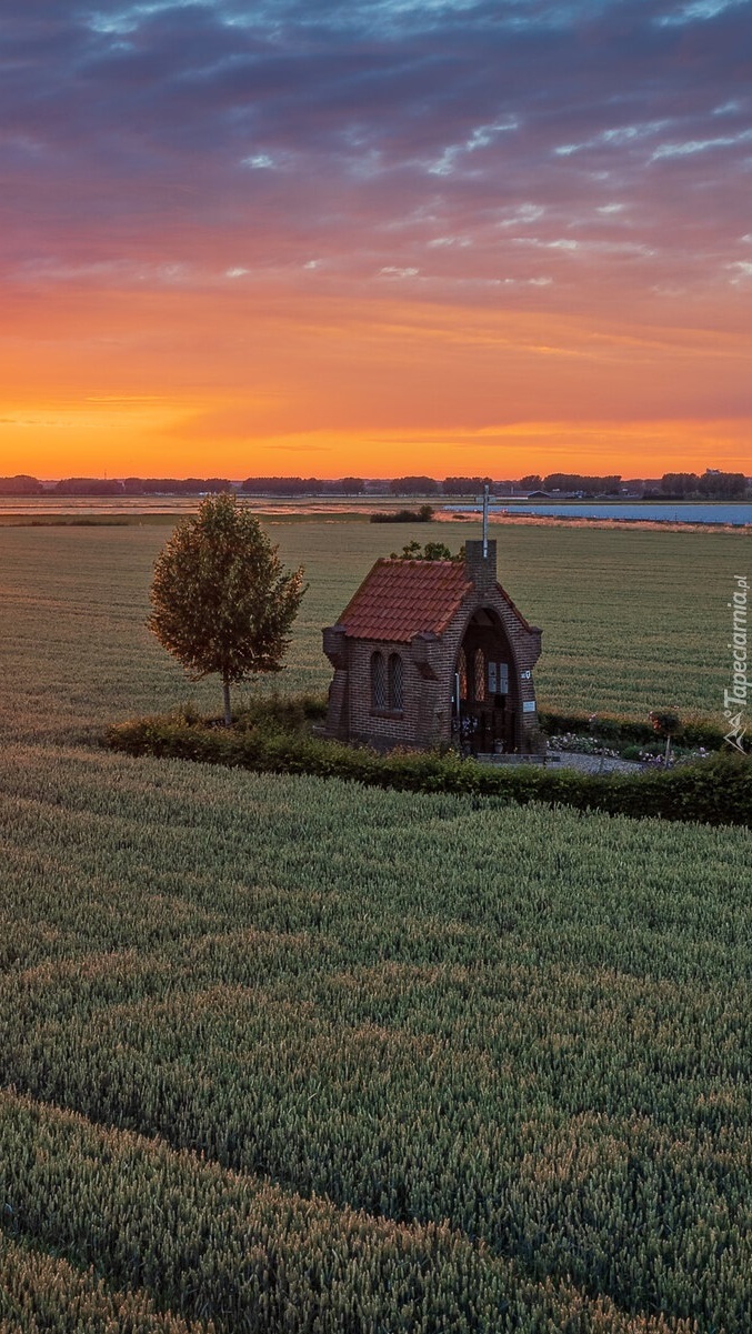 Kapliczka na polu