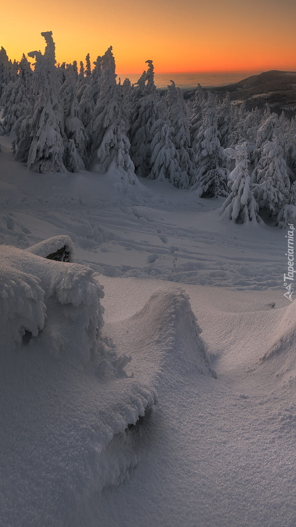 Karkonosze w zimowej scenerii