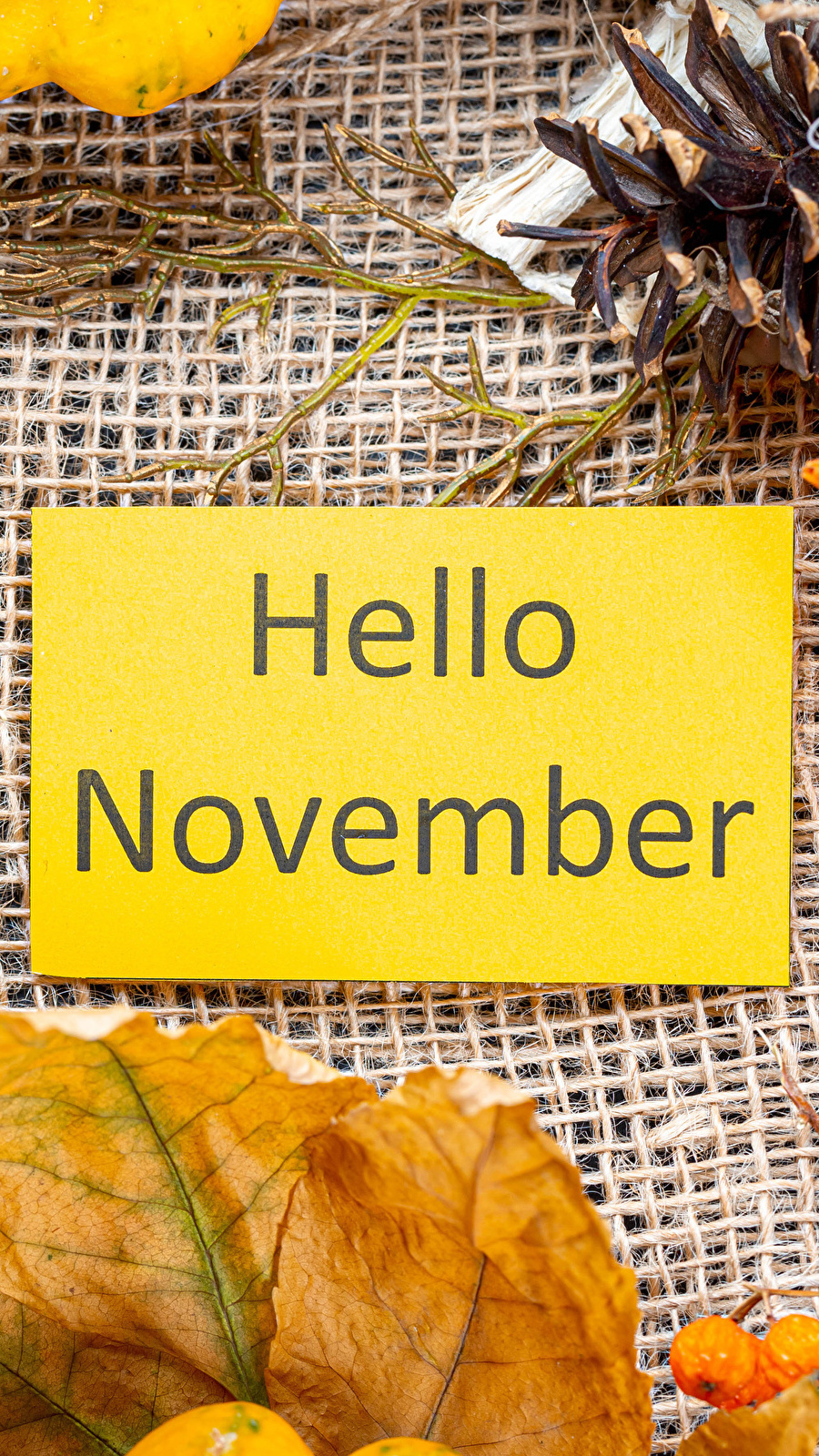 Kartka z napisem Hello November