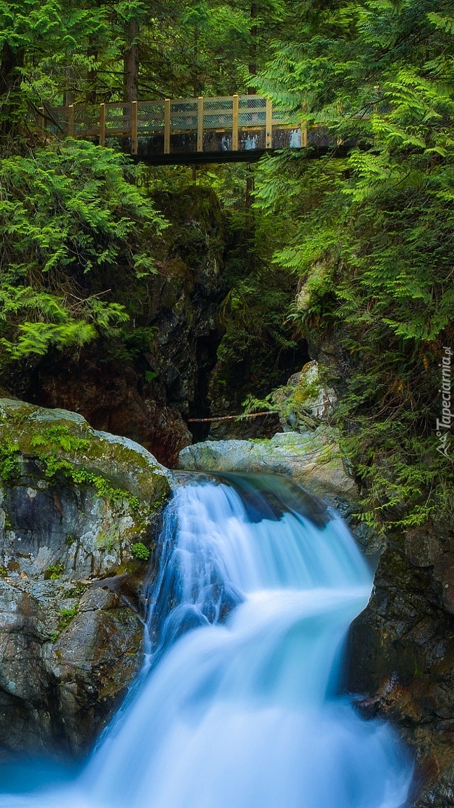 Kaskada Twin Falls w Kanadzie