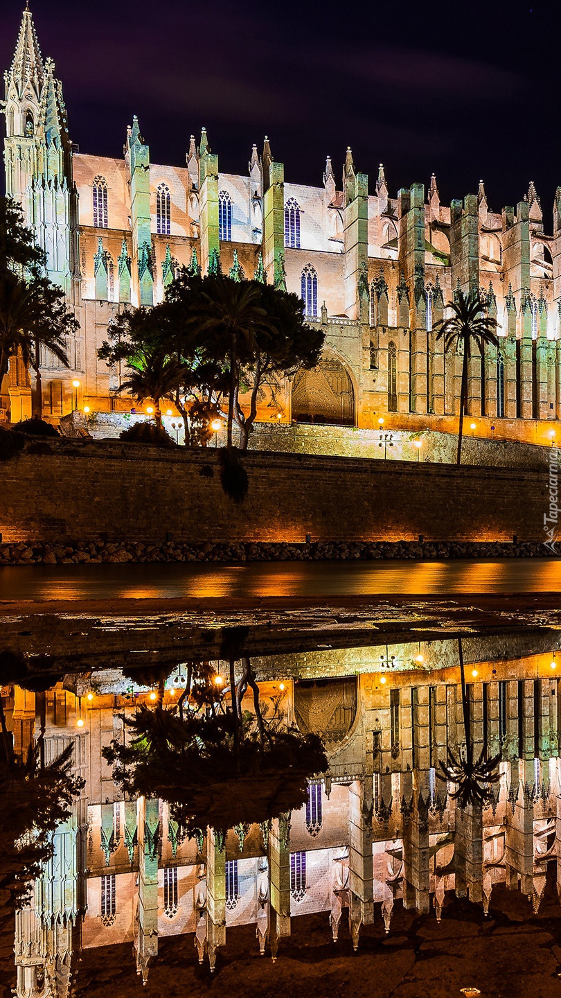 Katedra La Seu w Palma de Mallorca