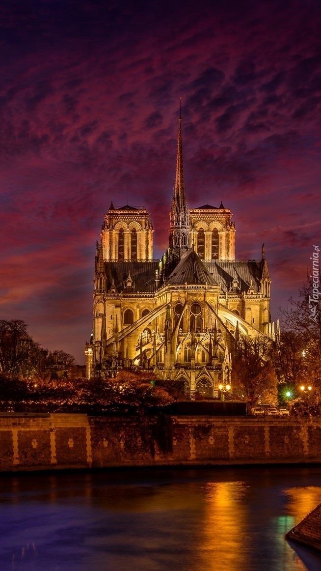 Katedra Notre-Dame