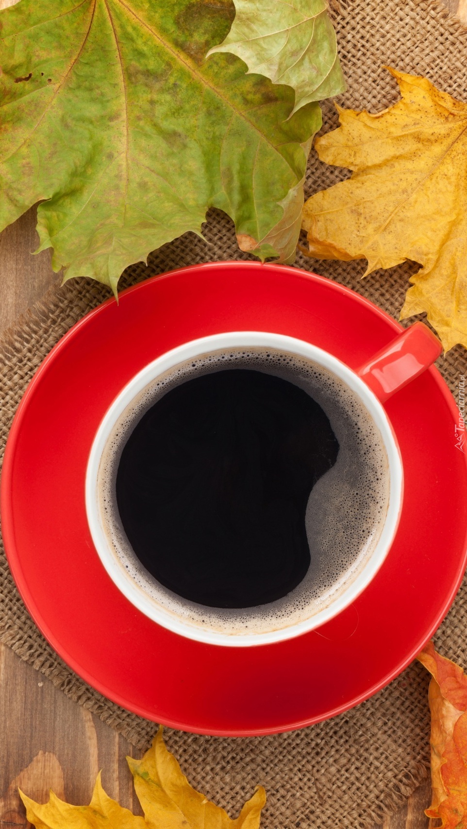 Kawa na serwetce wśród jesiennych liści