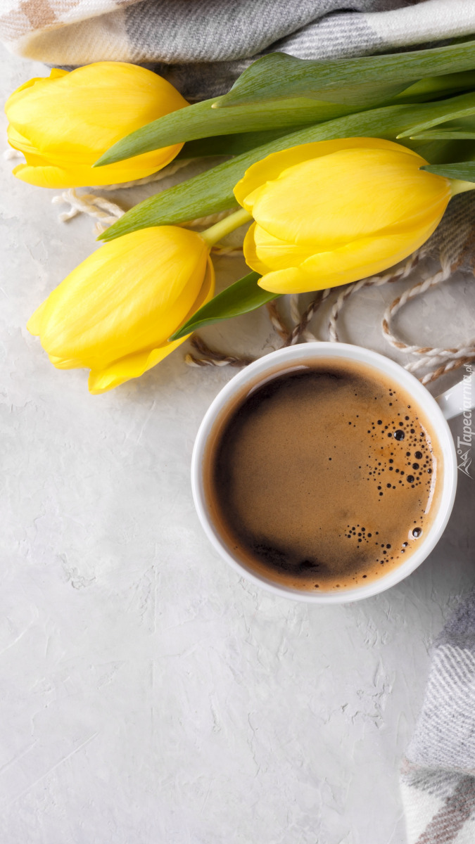 Kawa obok żółtych tulipanów