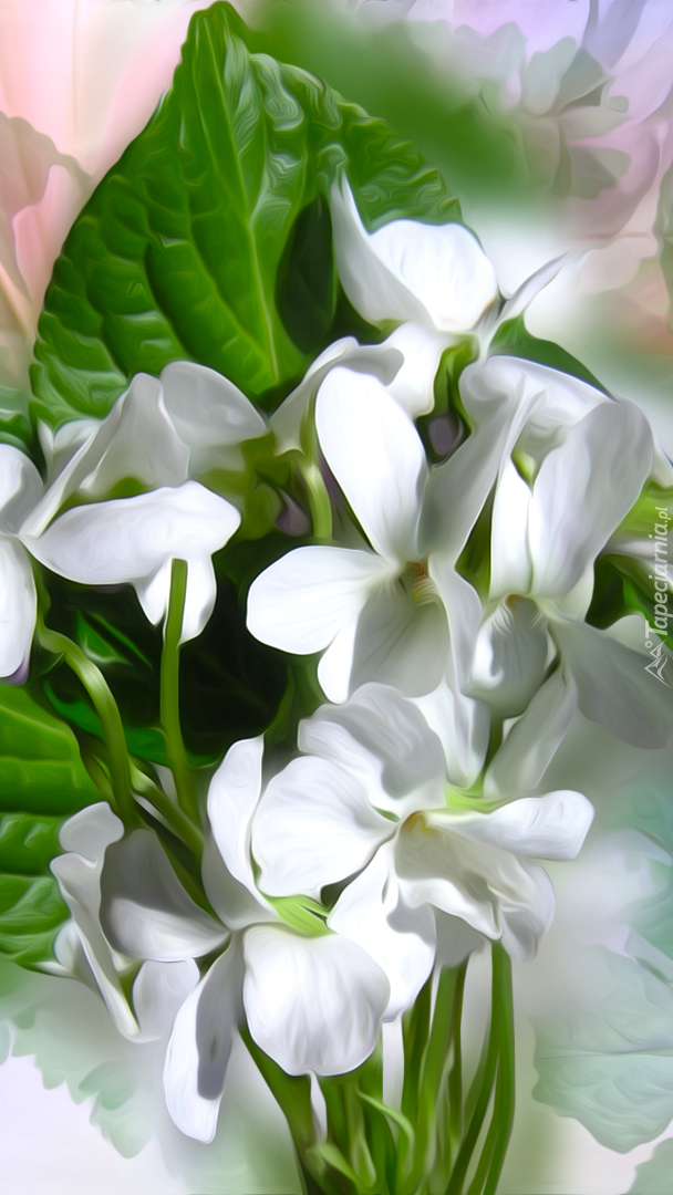 Kępka białych kwiatów