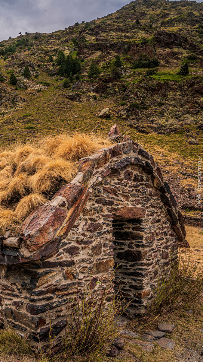 Kępki trawy na dachu kamiennego domu