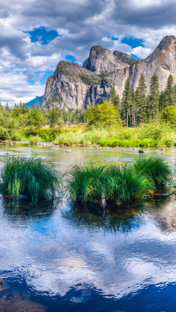 Kępki trawy na rzece Merced River