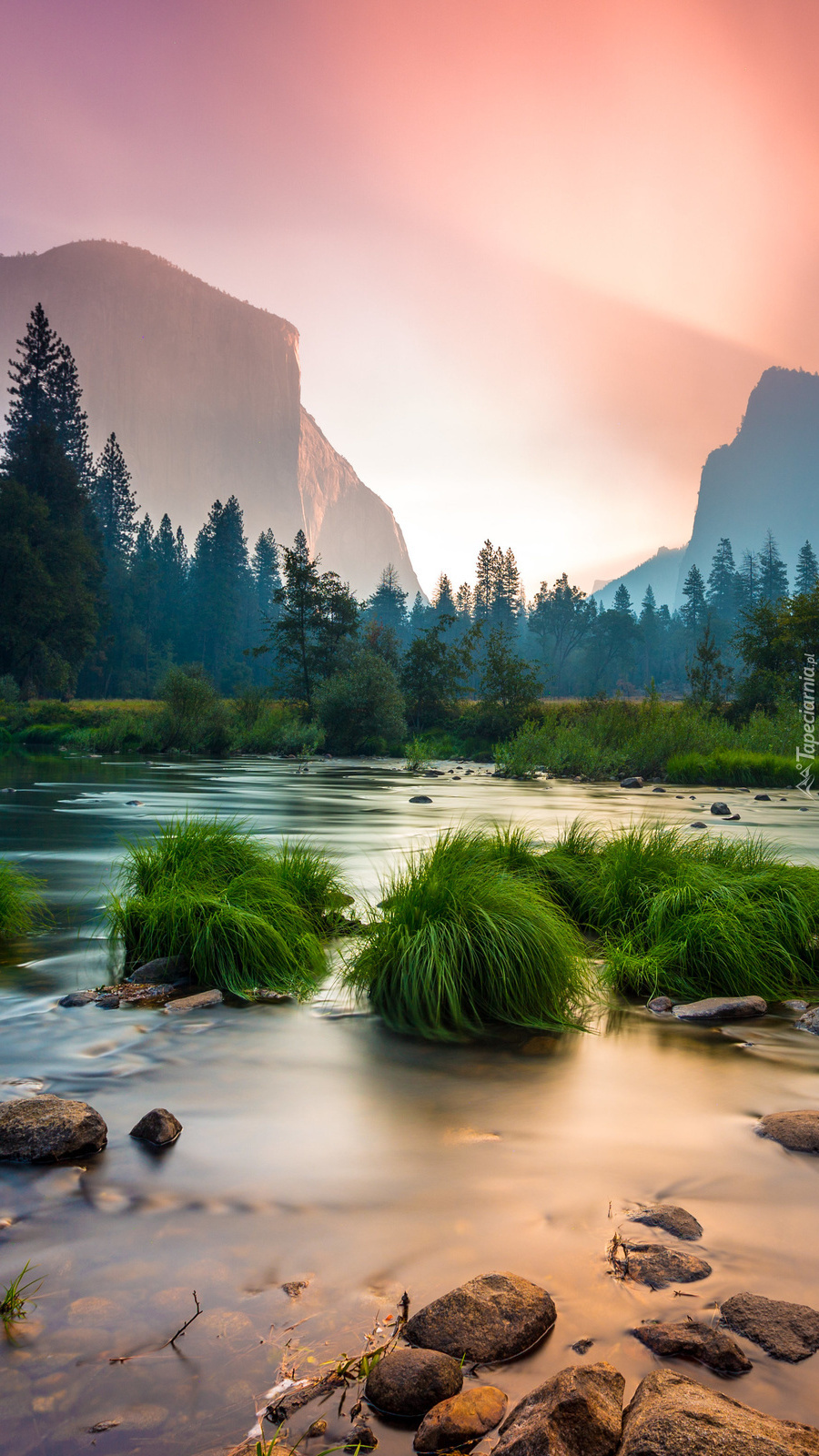 Kępki trawy na rzece Merced River