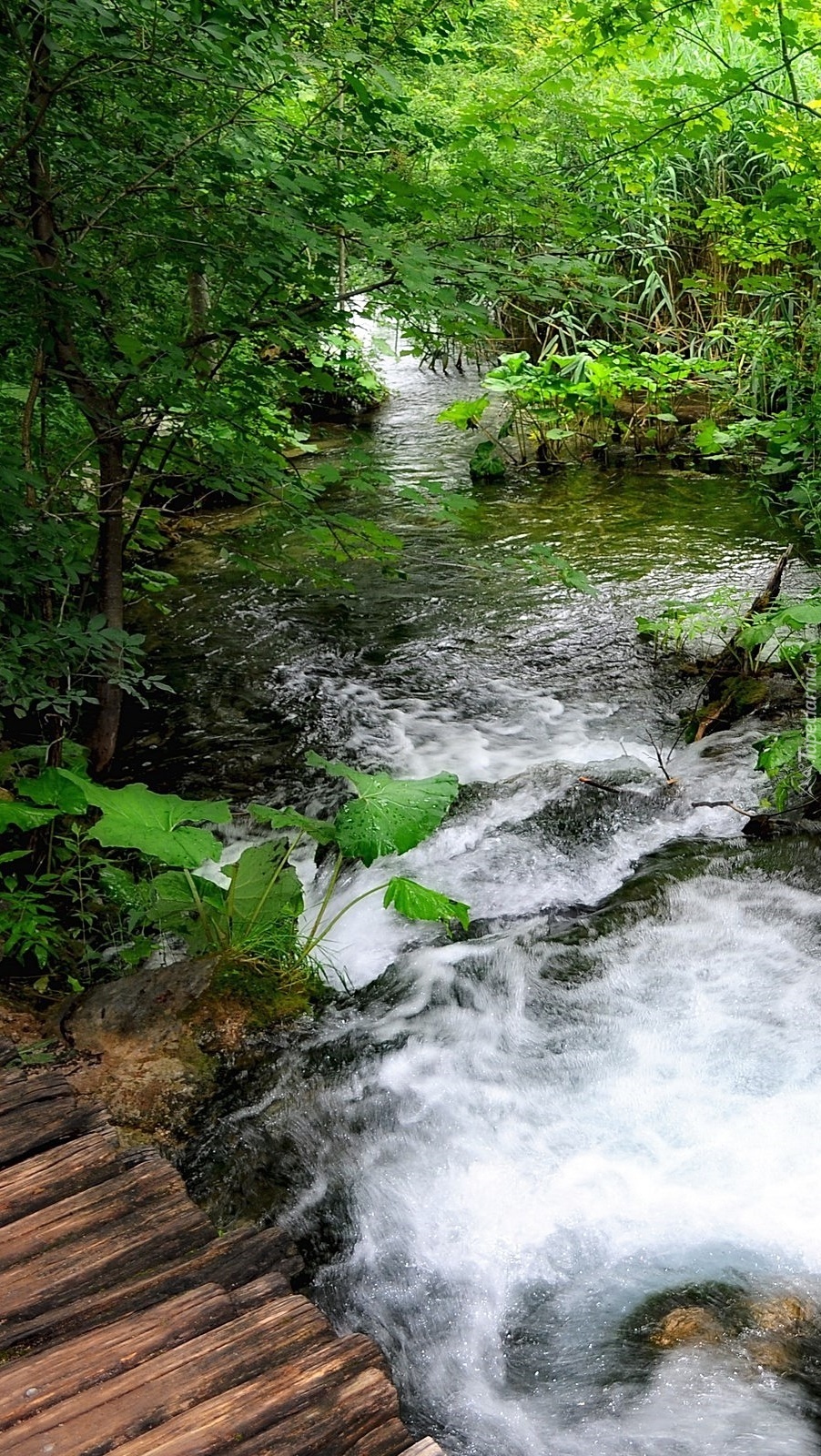 Kładka nad rzeką