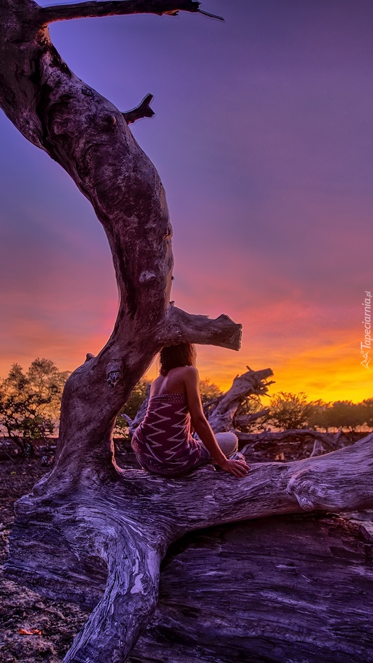 Kobieta siedząca na suchym konarze drzewa o zachodzie słońca