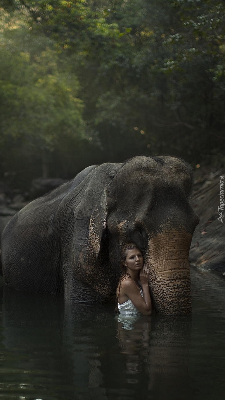 Kobieta wtulona w słonia