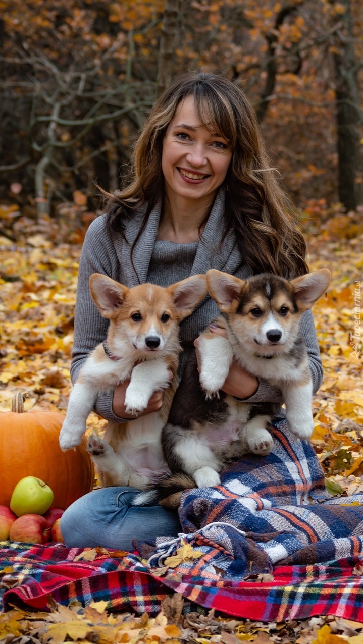 Kobieta z dwoma welsh corgi pembroke