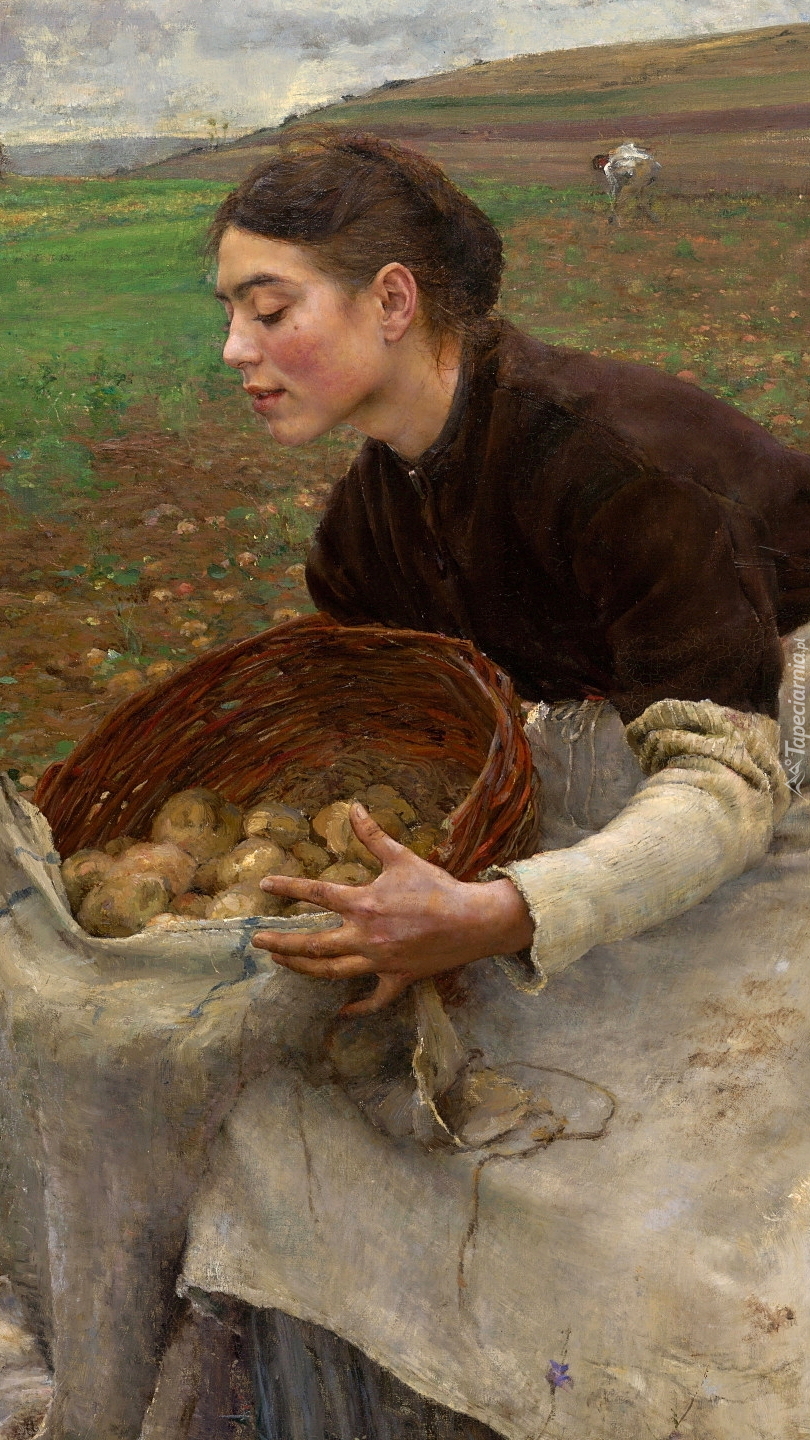 Kobieta z koszem ziemniaków