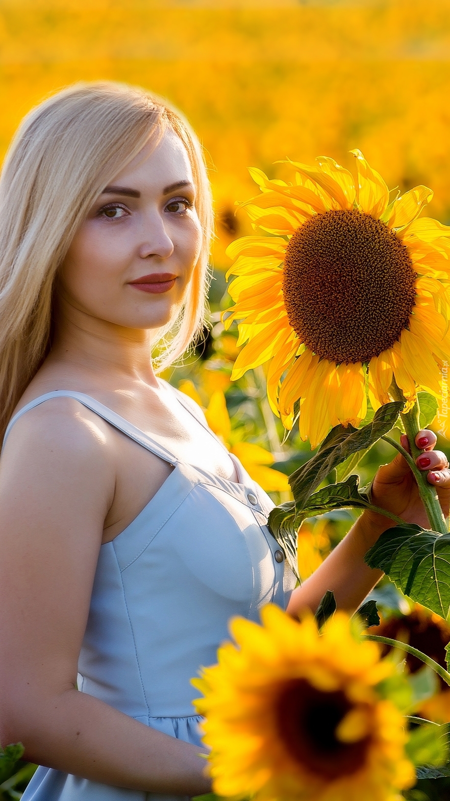 Kobieta z kwiatami słonecznika