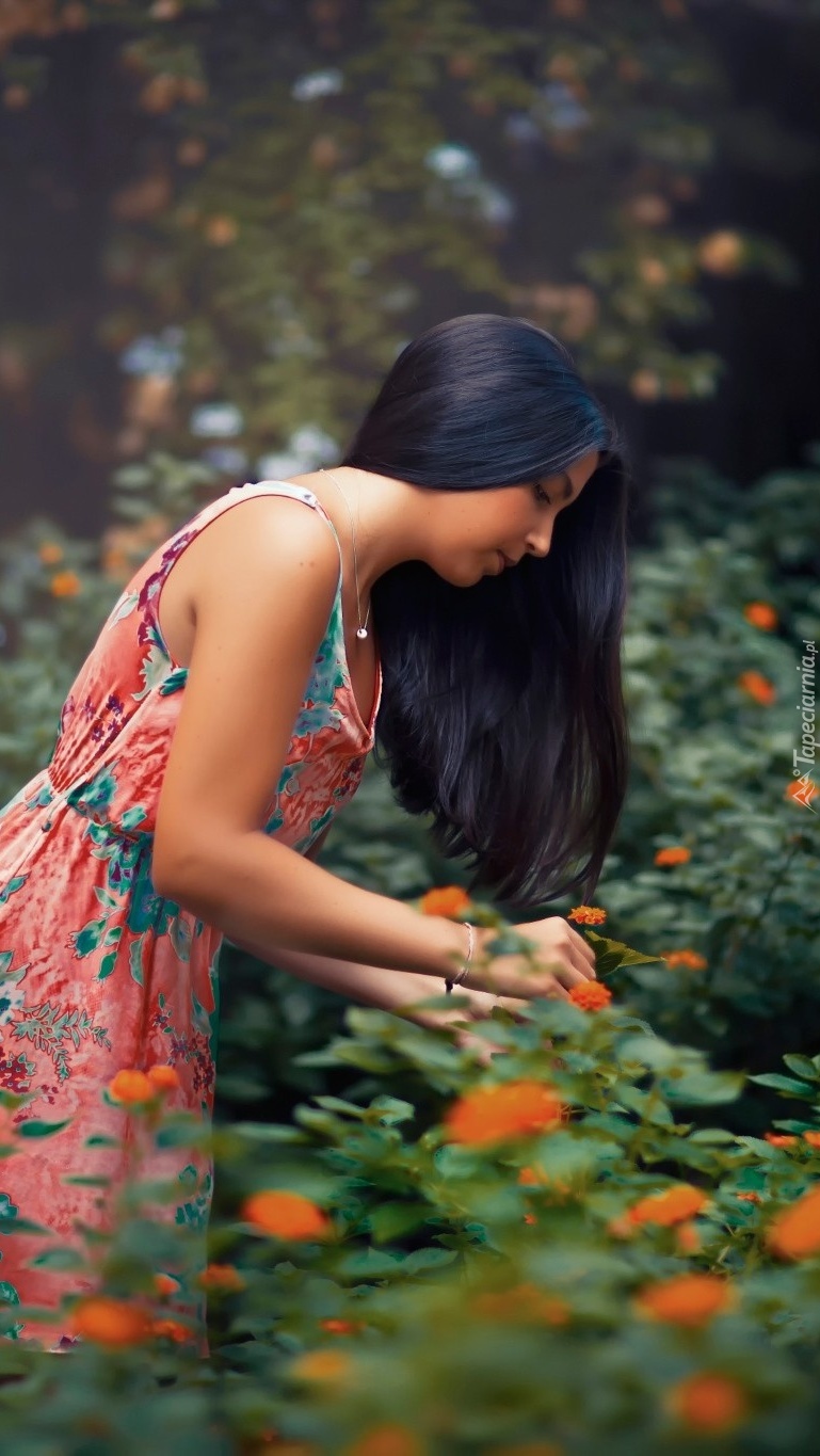 kobieta zrywająca kwiaty