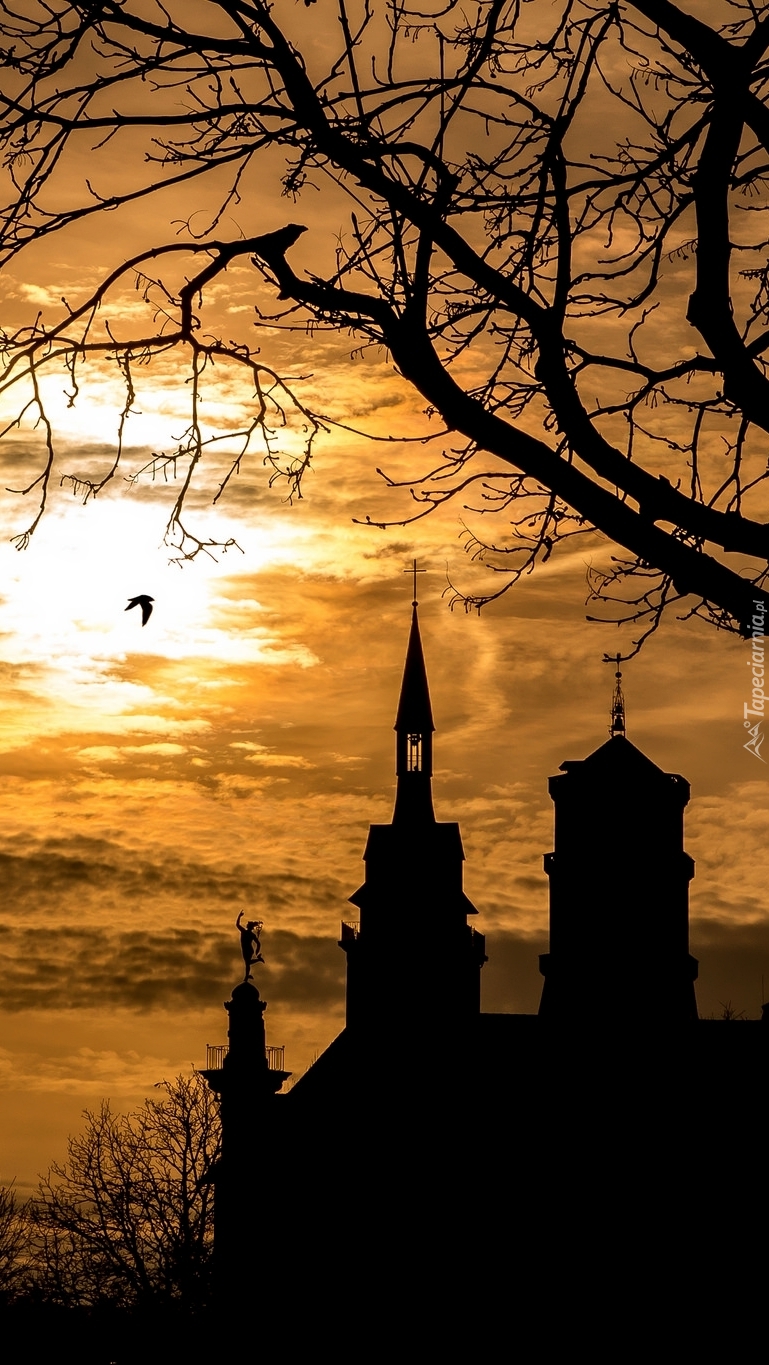 Kolegiata Stiftskirche o zachodzie słońca