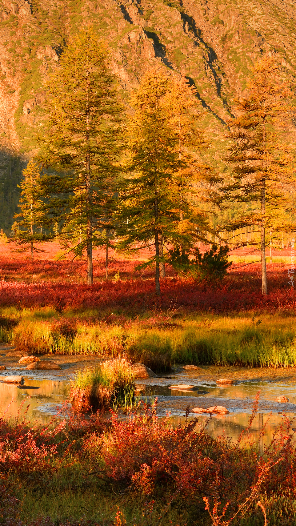 Kolorowa jesień w górach Kołymskich