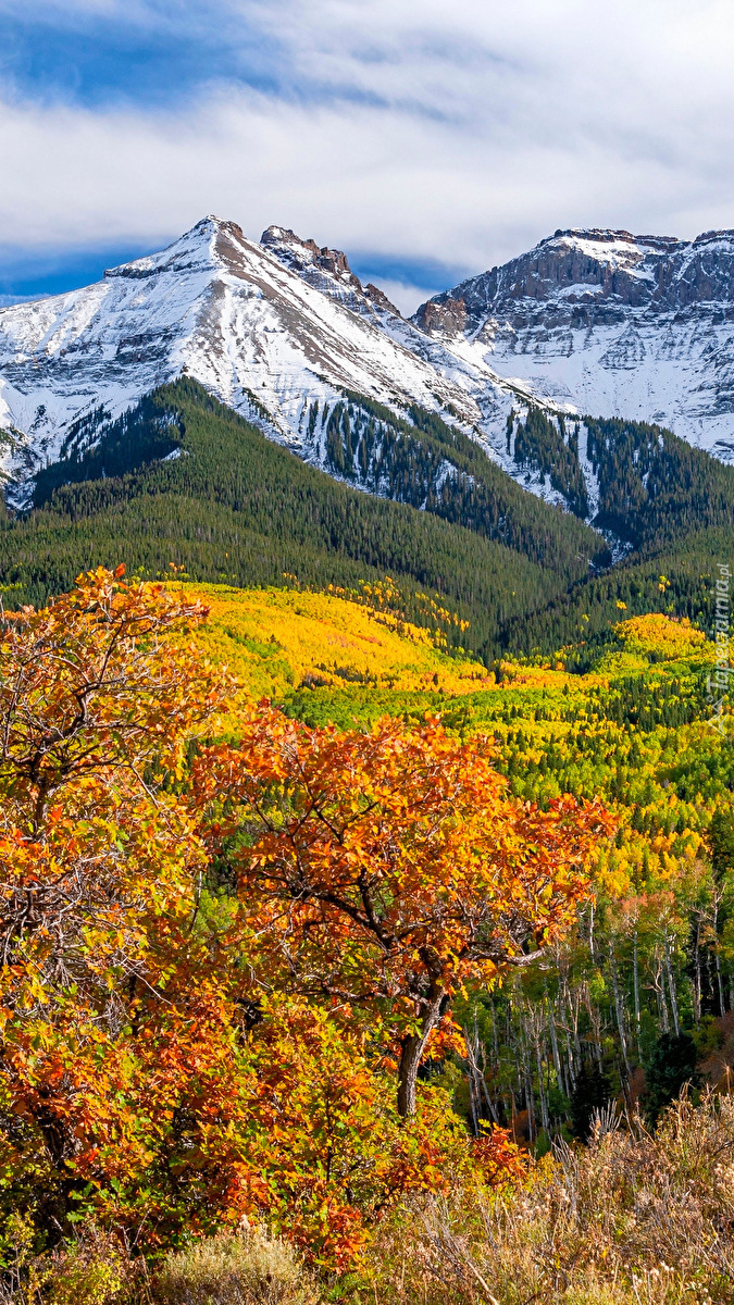 Kolorowe drzewa i ośnieżone góry San Juan Mountains