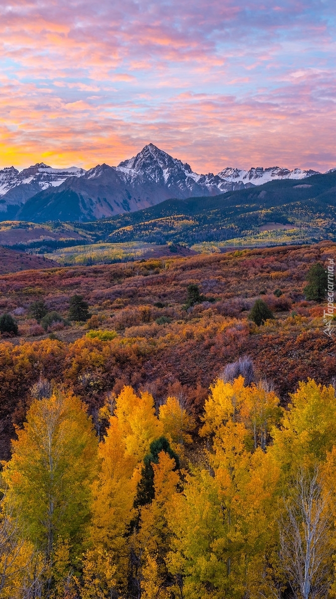 Kolorowe drzewa na tle gór San Juan Mountains