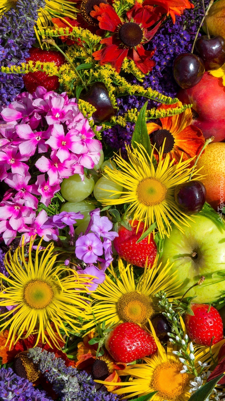 Kolorowe kwiaty i owoce