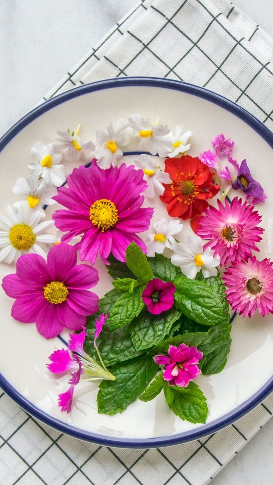 Kolorowe kwiaty na talerzu