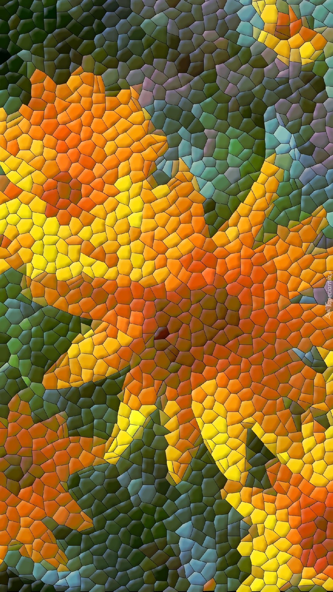 Kolorowe kwiaty w grafice 2D