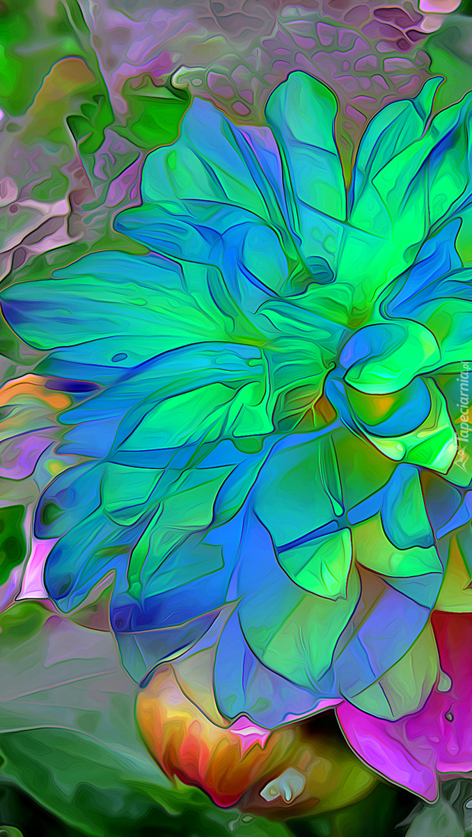 Kolorowe kwiaty z fractaliusa