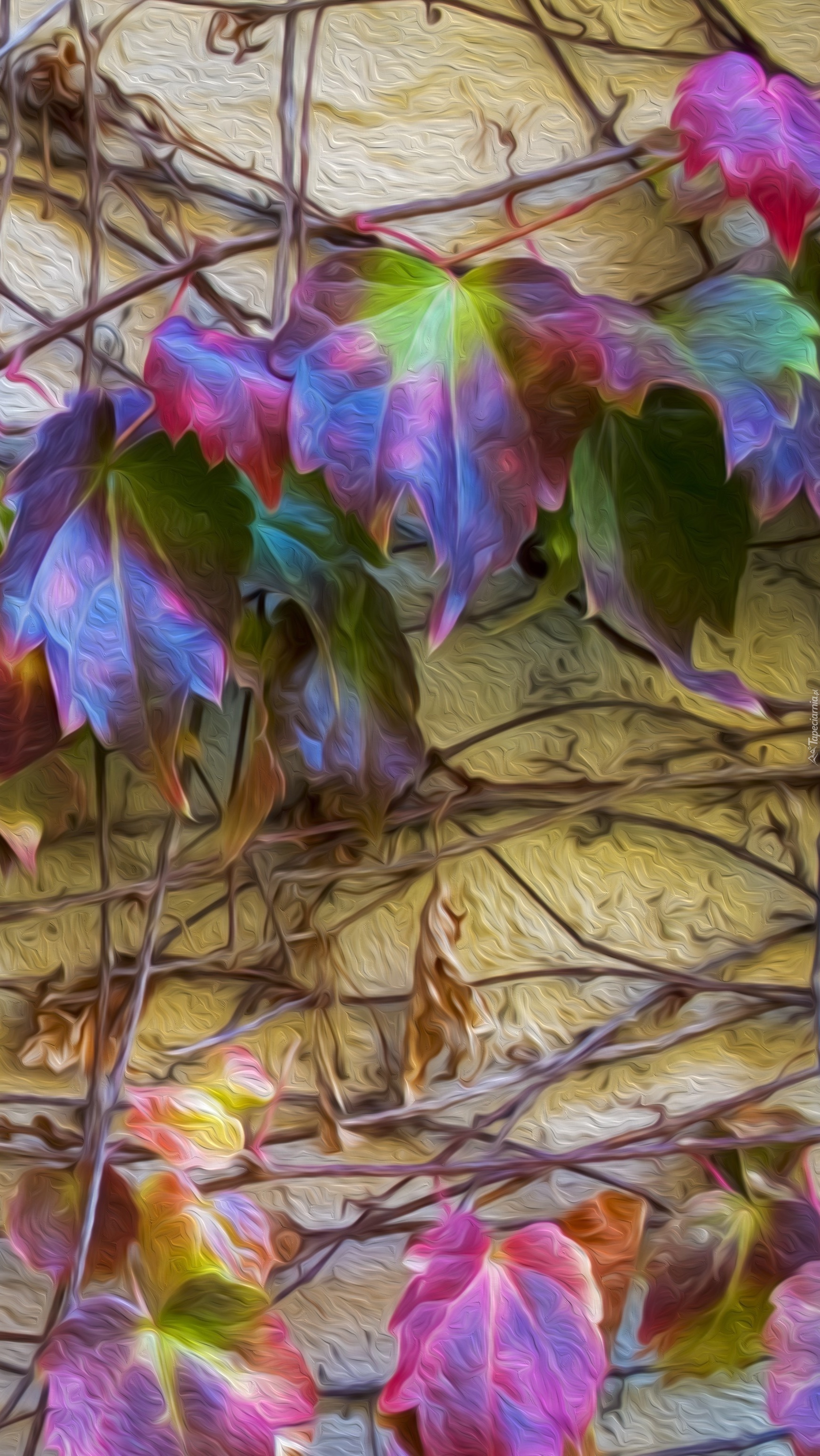 Kolorowe liście pnące się po budynku